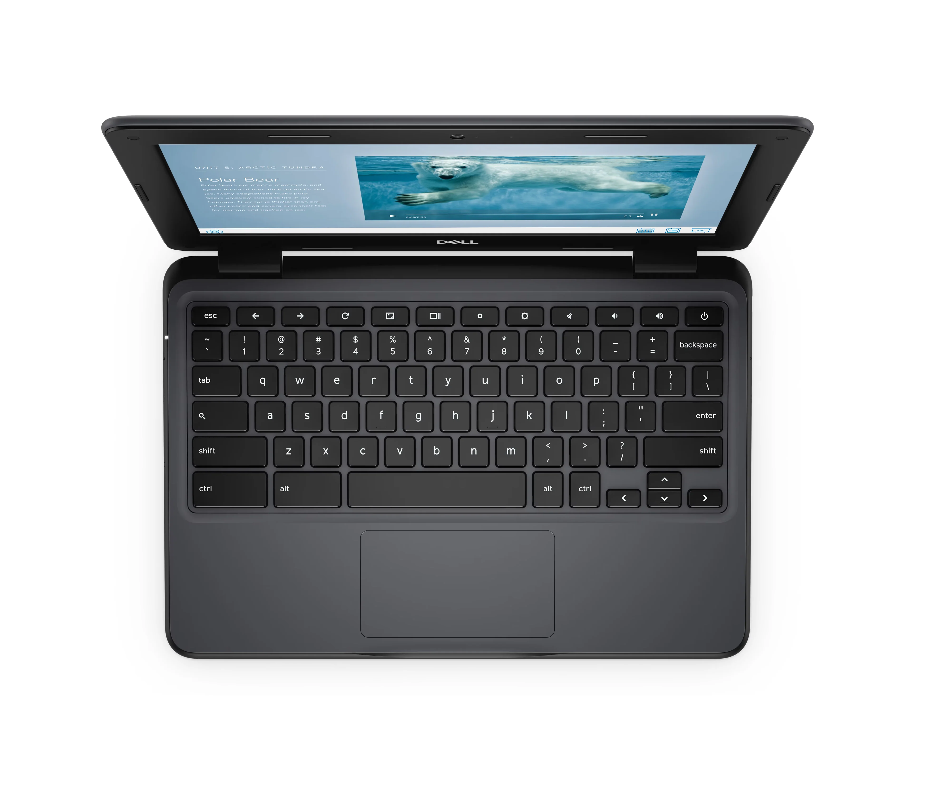 Dell Chromebook 3100 2-in-1 11.6" Celeron N4000 1.1 GHz 4 GB 32GB Chrome OS - Refurbished - Image 3
